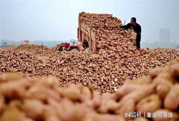 原料收购与储存的几点建议