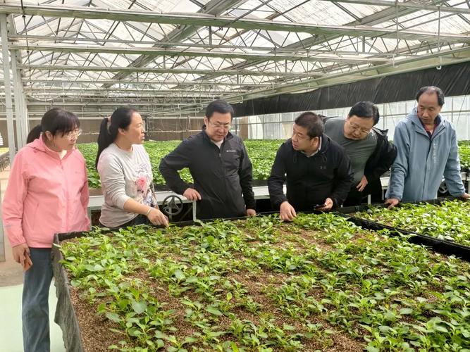 省薯类产业体系岗位专家在岚县科技