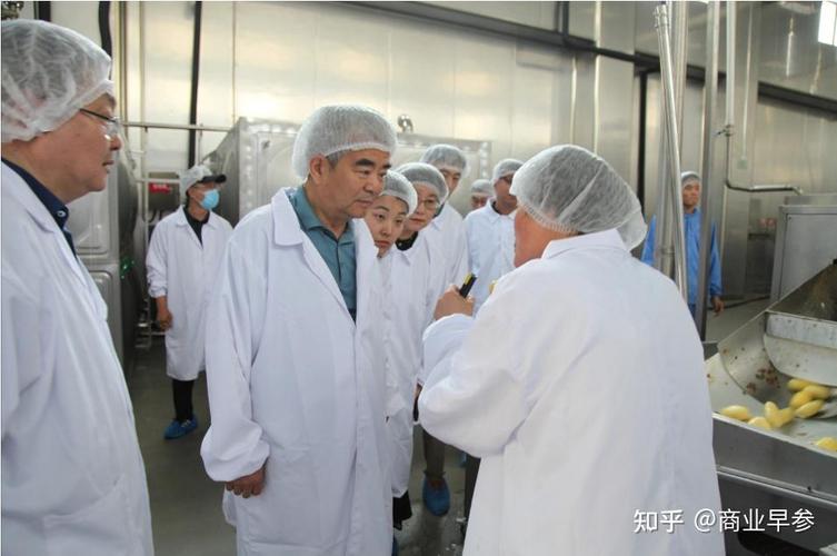 深耕薯类全产业链 青岛福满兴食品以马铃薯薯条为核心，打通种植到餐桌的每一环